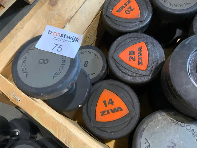 Several mistery box dumbbells krachtstation - afbeelding 4 van  7