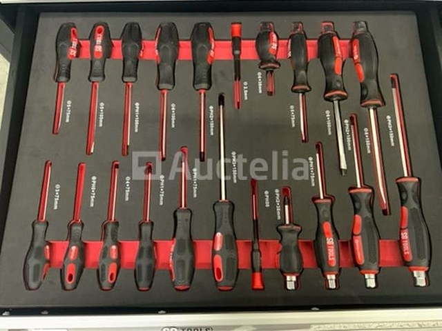 Sg-tools - gereedschapswagen 257 delig - afbeelding 8 van  9