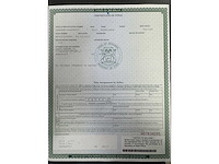 Shorlandr boottrailer (us doc.!) - afbeelding 3 van  16