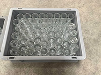 Shotglaasjes met oor (65x) - afbeelding 1 van  2