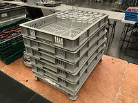 Shotglas (435x) - afbeelding 1 van  3