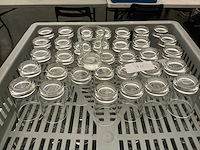 Shotglas (435x) - afbeelding 2 van  3