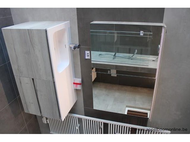 Showroom badkamermeubel vv enkele spoelbak plus spiegelkast afm 120x50 / 120x16cm - afbeelding 1 van  4