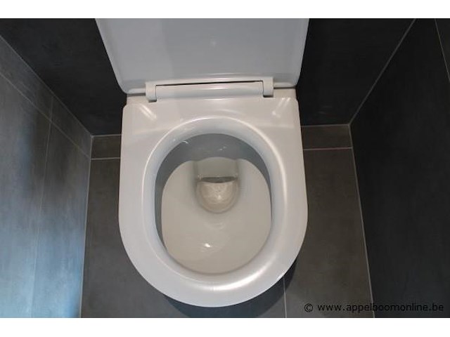 Showroom hangtoilet villeroy & boch - afbeelding 2 van  2