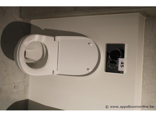 Showroom hangtoilet villeroy & boch - afbeelding 1 van  2
