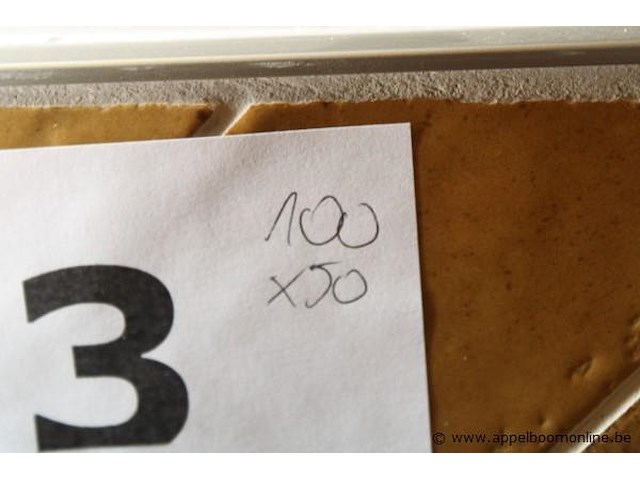 Showroom wandspiegel vv verlichting afm 100x50cm - afbeelding 2 van  2