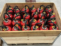 Sicli poedersnelblussers (24x) - afbeelding 1 van  2