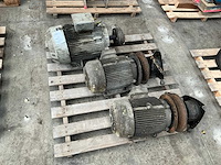 Siemens diverse elektromotoren (3x) - afbeelding 1 van  3