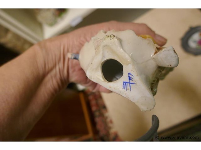 Sierbeelden - afbeelding 3 van  3