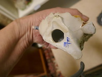 Sierbeelden - afbeelding 3 van  3