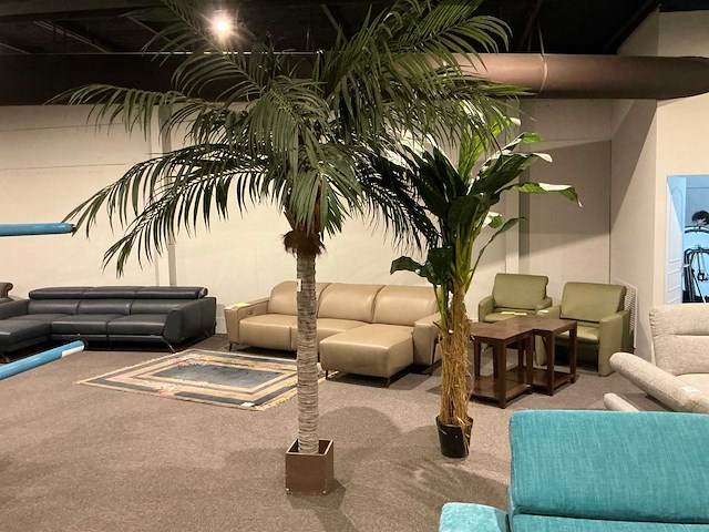 Sierboom (2x) - afbeelding 1 van  6