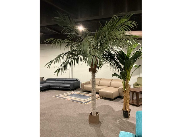 Sierboom (2x) - afbeelding 2 van  6