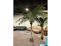 Sierboom (2x) - afbeelding 2 van  6