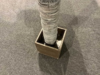 Sierboom (2x) - afbeelding 4 van  6