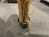 Sierboom (2x) - afbeelding 5 van  6