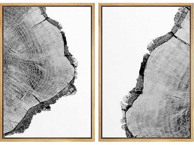 Signford canvas foto's, zwart-wit boom ring - afbeelding 1 van  2