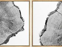 Signford canvas foto's, zwart-wit boom ring - afbeelding 1 van  2