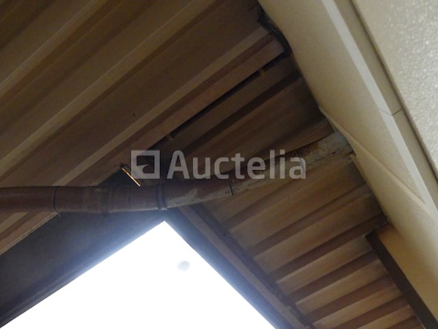 Siloba bloem silo - afbeelding 3 van  19