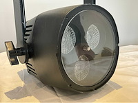 Silverstar boxer xg/tz mkii spotlight - afbeelding 1 van  4