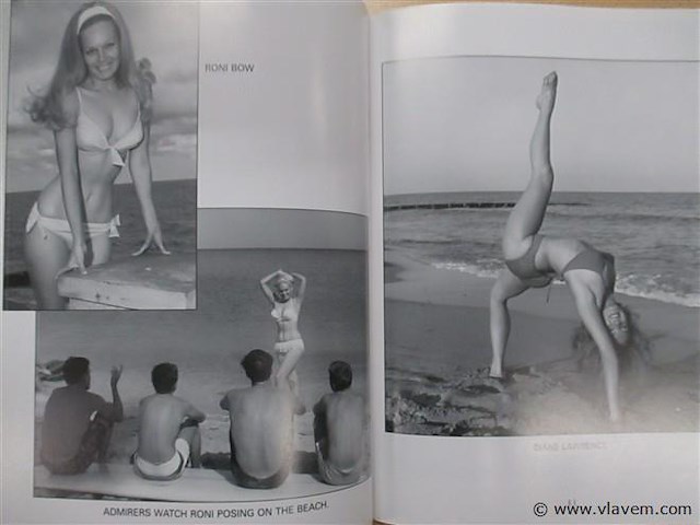 Sixties boek - afbeelding 3 van  4