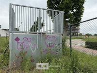 Skateramp rhino flat bank - afbeelding 6 van  6