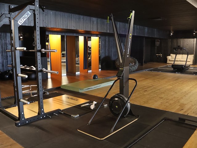 Skierg - afbeelding 1 van  6