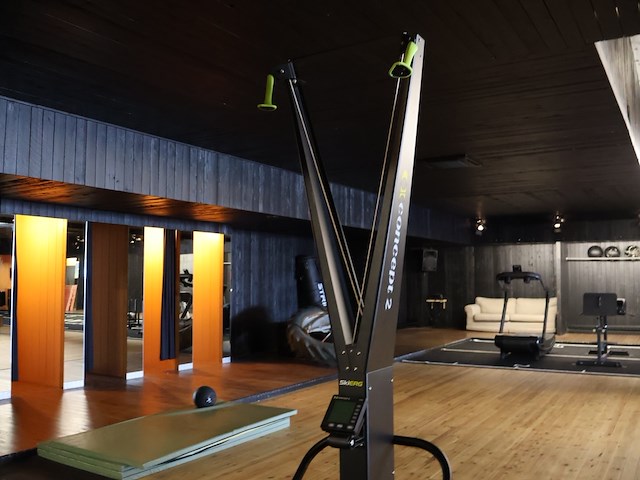 Skierg - afbeelding 3 van  6