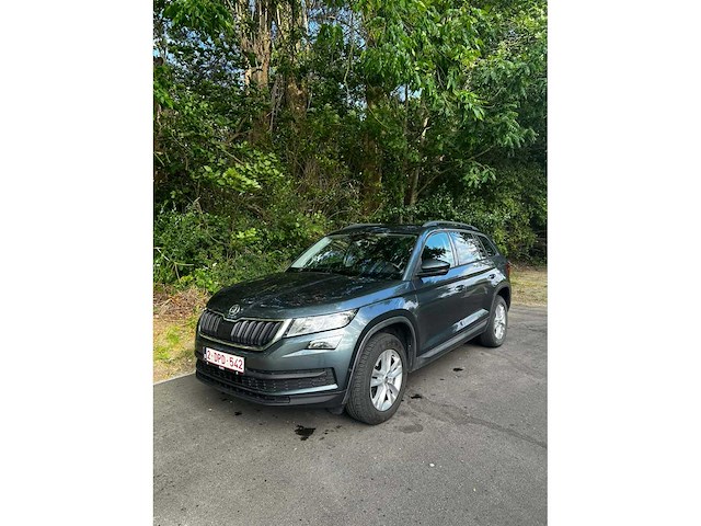 Skoda - kodiaq - ns - car - 2018 - afbeelding 1 van  31