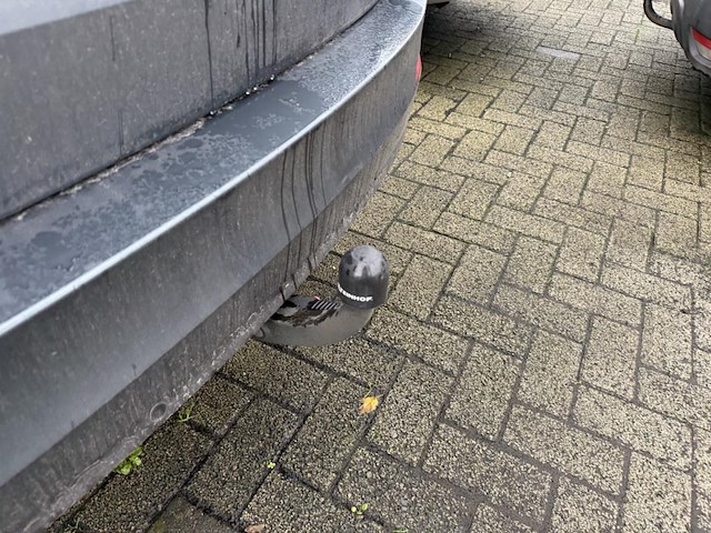 Skoda octavia sw 2.0 cr tdi style, 2015 - afbeelding 14 van  29