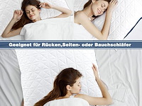 Slybear hoofdkussen - afbeelding 2 van  2