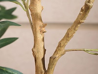 Soguyi kunstplant olijfboom 150cm - afbeelding 3 van  4