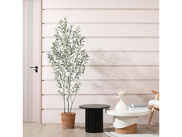 Soguyi olijfboom 1,80 m - afbeelding 4 van  4