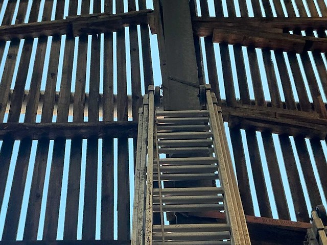 Solide 3 x 18 3-delige alu schuifladder - afbeelding 3 van  3