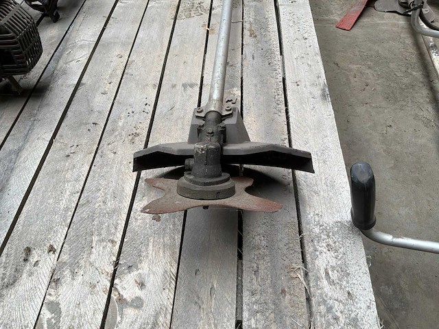 Solo 121 bosmaaier - afbeelding 2 van  9