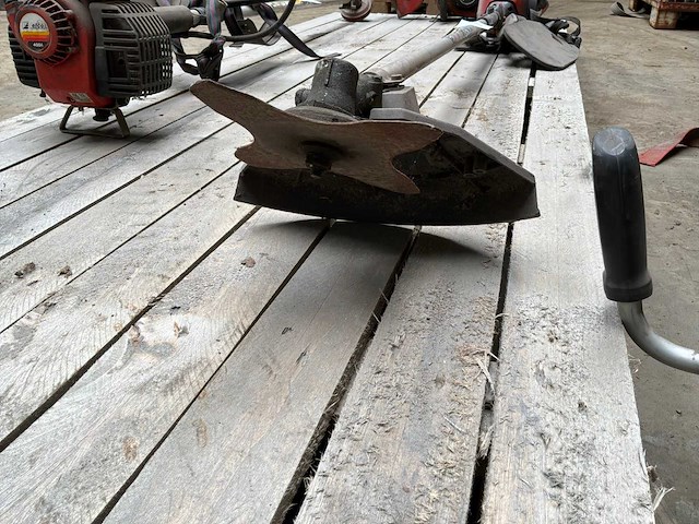 Solo 121 bosmaaier - afbeelding 3 van  9