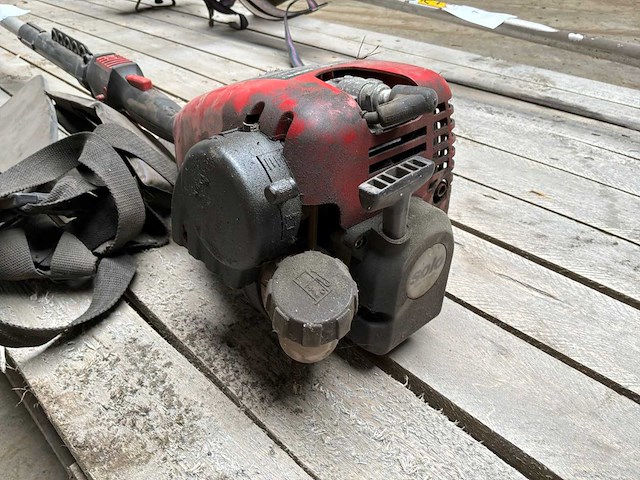 Solo 121 bosmaaier - afbeelding 8 van  9