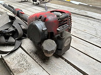 Solo 121 bosmaaier - afbeelding 8 van  9