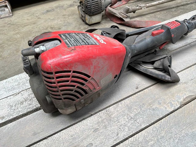 Solo 121 bosmaaier - afbeelding 9 van  9