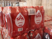 Spa intense 24x0,5l (plm 24) vervallen - afbeelding 3 van  6