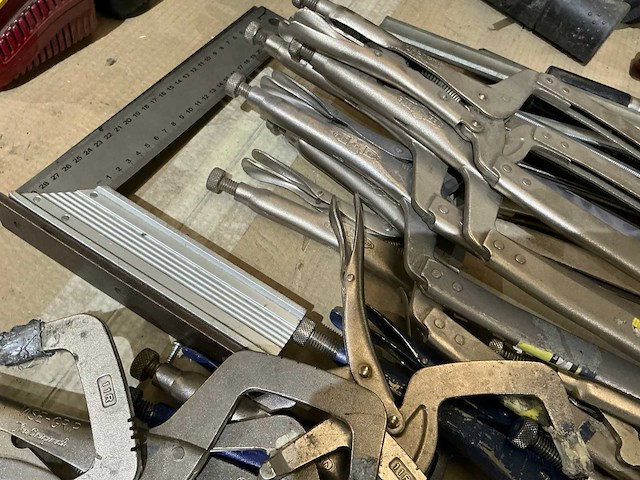 Spantang (22x) - afbeelding 3 van  4