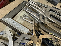 Spantang (22x) - afbeelding 3 van  4