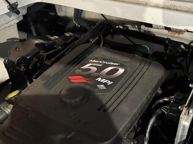 Speedboot maxum sr 3 bowrider - afbeelding 1 van  31