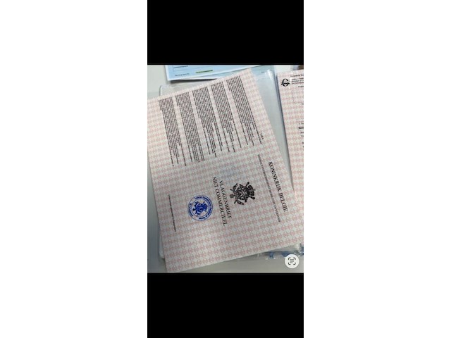 Speedboot maxum sr 3 bowrider - afbeelding 30 van  31