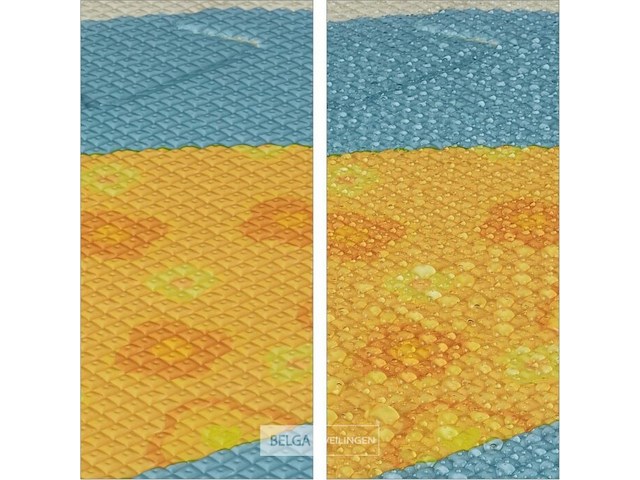 Speeltapijt - afbeelding 2 van  7