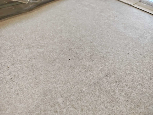 Sphinx stone white mat vloertegel 60x60 cm 7,56 m² - afbeelding 6 van  6