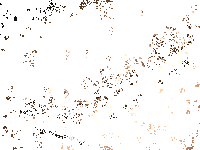 Sport toestel the four minute workout - afbeelding 10 van  18