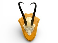 Springbok - schedel met hoorns - zuid-afrika - afbeelding 1 van  7