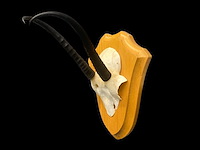 Springbok - schedel met hoorns - zuid-afrika - afbeelding 6 van  7