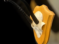 Springbok - schedel met hoorns - zuid-afrika - afbeelding 7 van  7