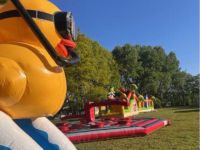 Springkasteel duck - overdekt met glijbaan - afbeelding 2 van  4